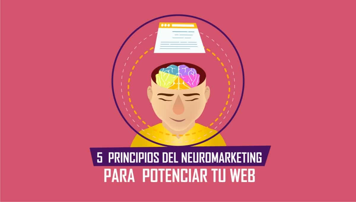5 PRINCIPIOS DEL NEUROMARKETING PARA POTENCIAR TU WEB